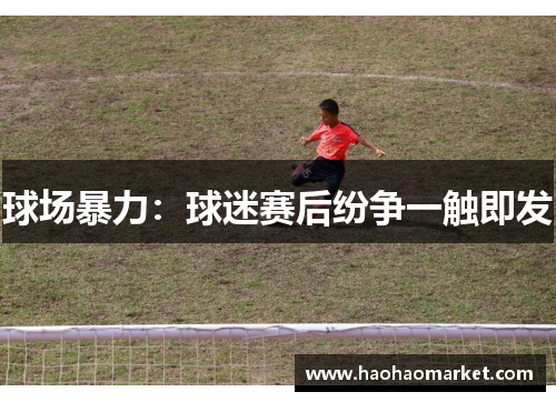 球场暴力：球迷赛后纷争一触即发